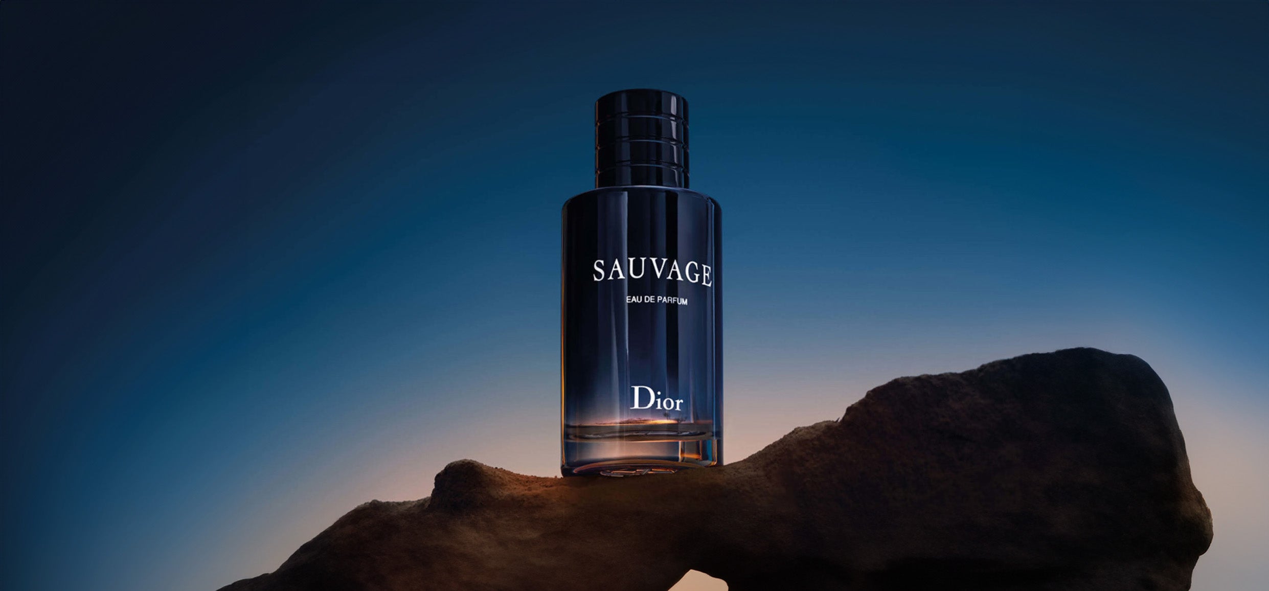 Dior sauvage parfum 2019 review on sale