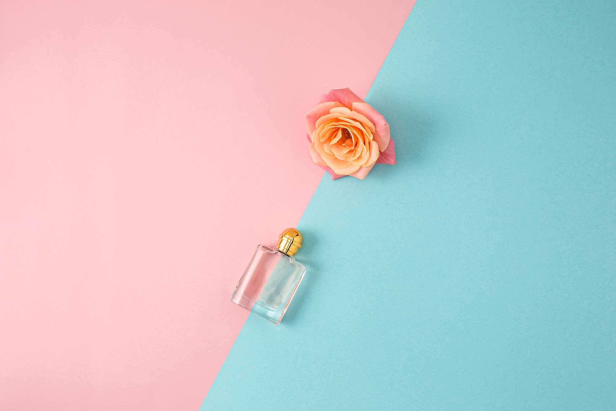 Find the Best Womens Perfume Fragrance for You | My Perfume Shop