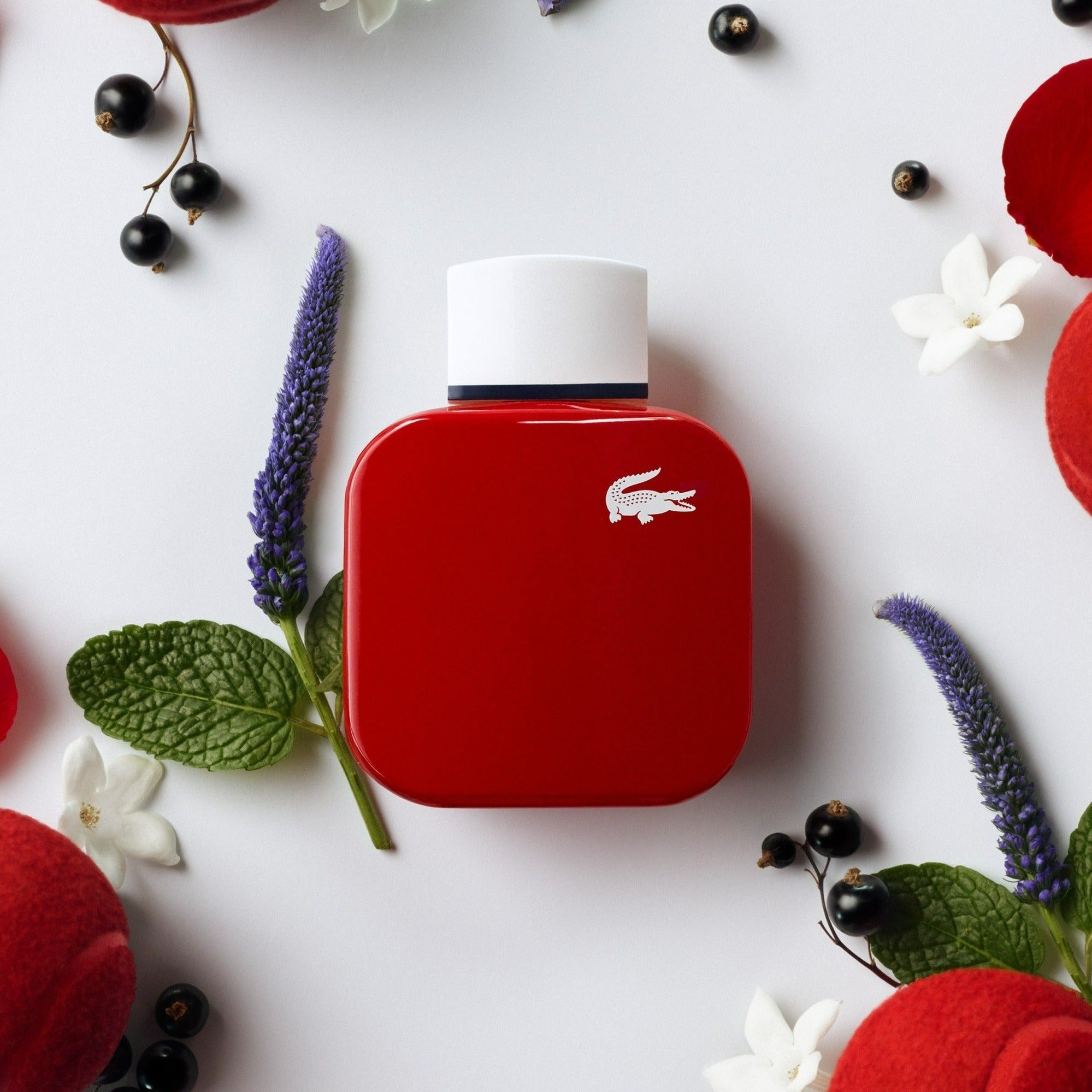 Lacoste perfume french panache hotsell