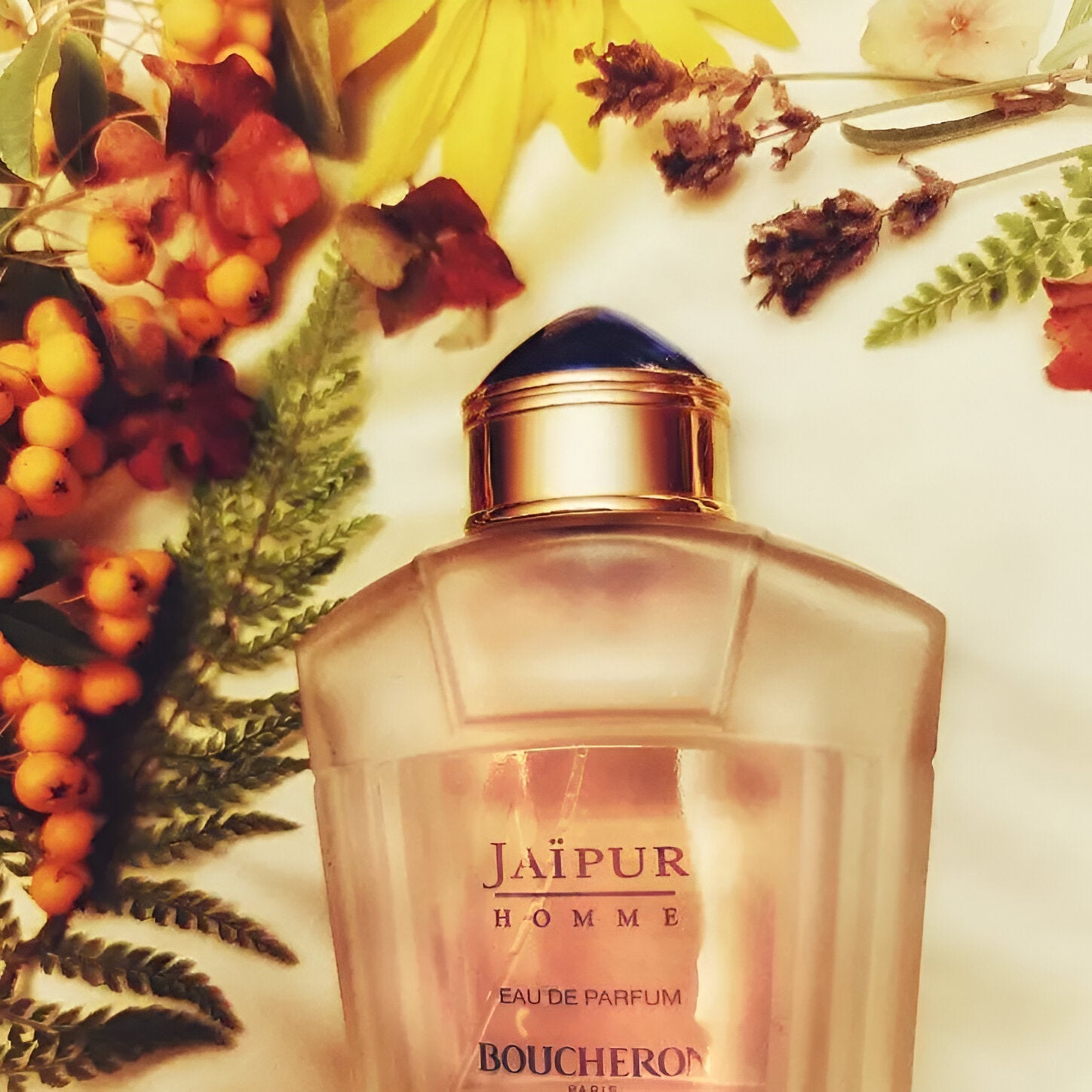 Jaipur boucheron sale