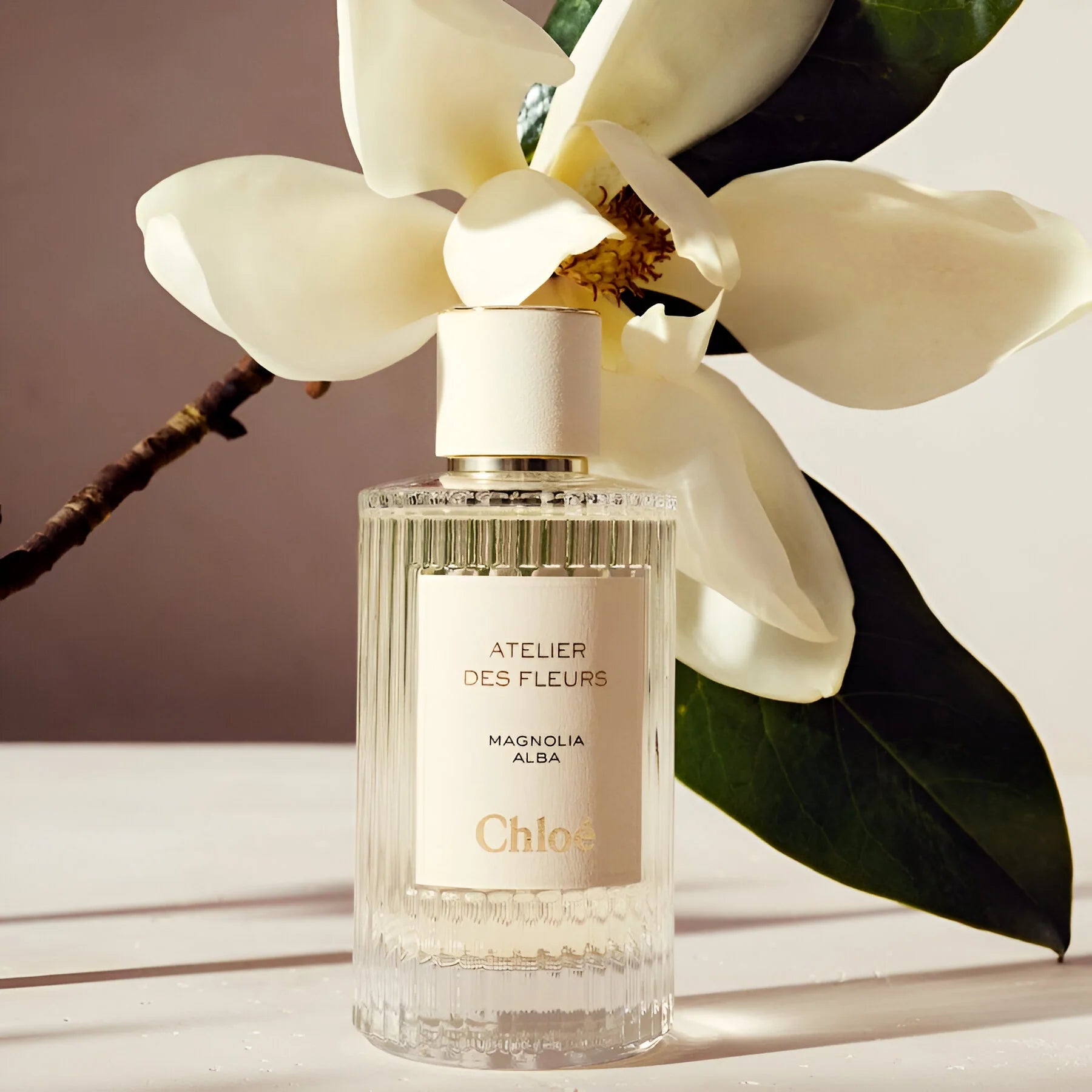 Chloe Magnolia Alba EDP Set for Women | My Perfume Shop