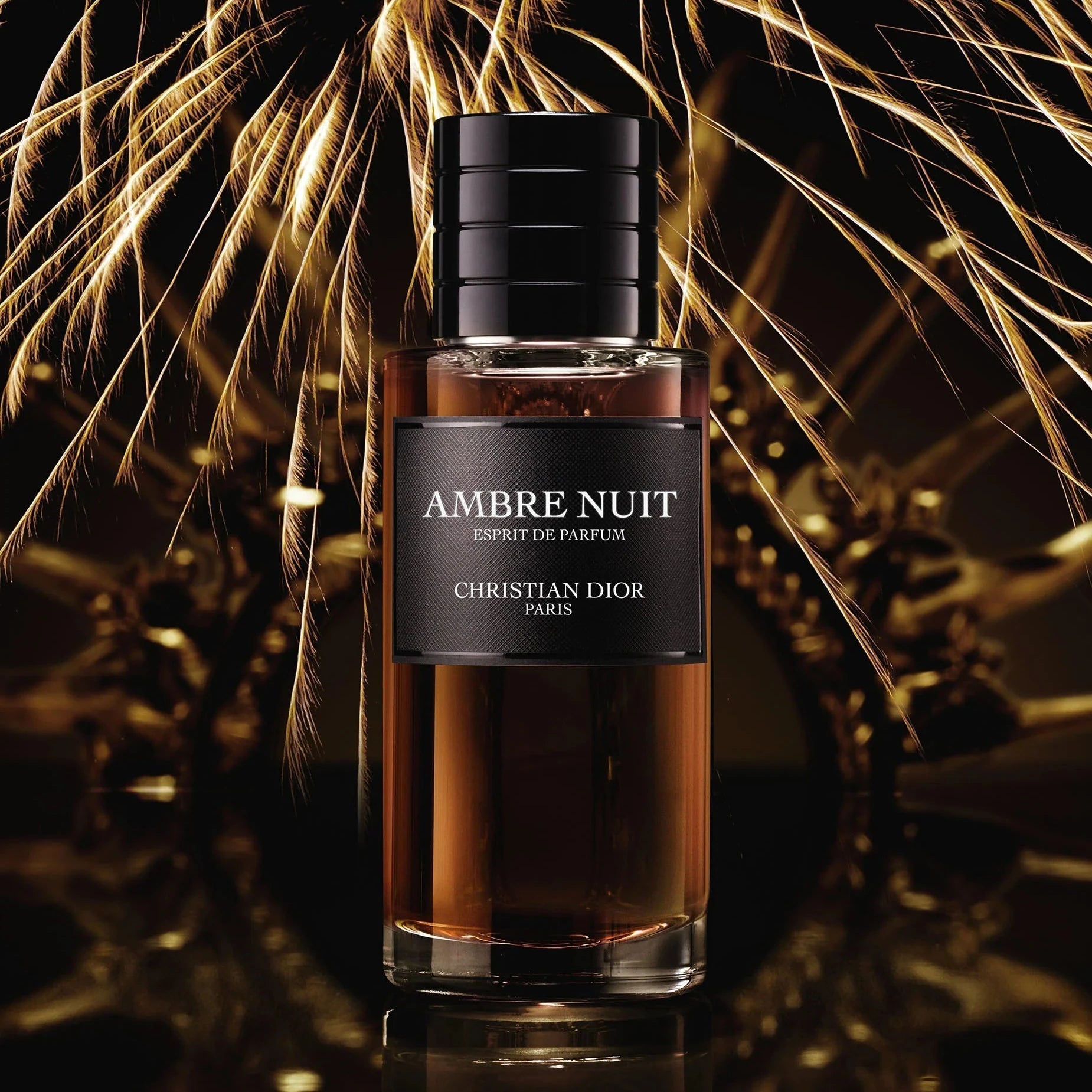 Christian Dior Ambre Nuit Extrait De Parfum | My Perfume Shop