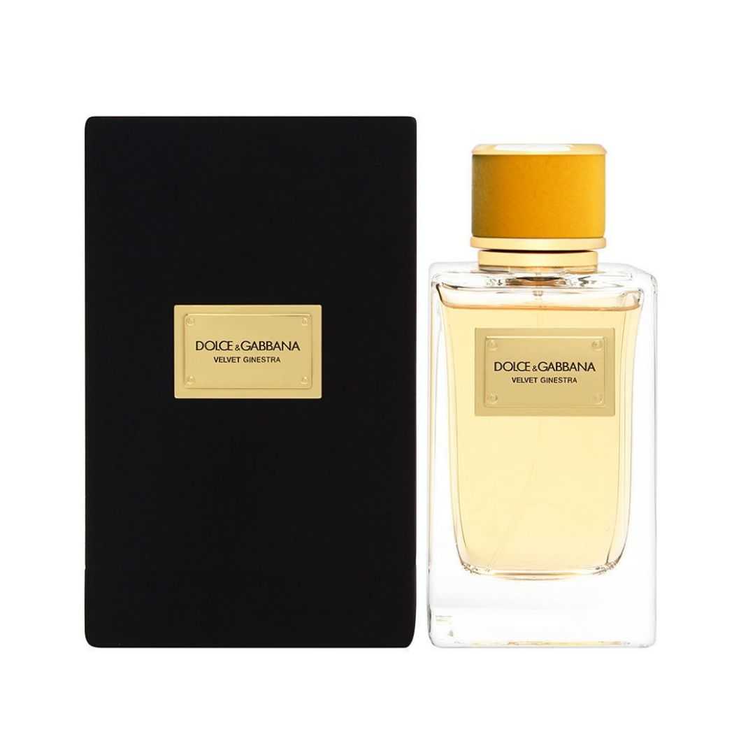 Dolce & Gabbana Velvet Ginestra EDP | My Perfume Shop