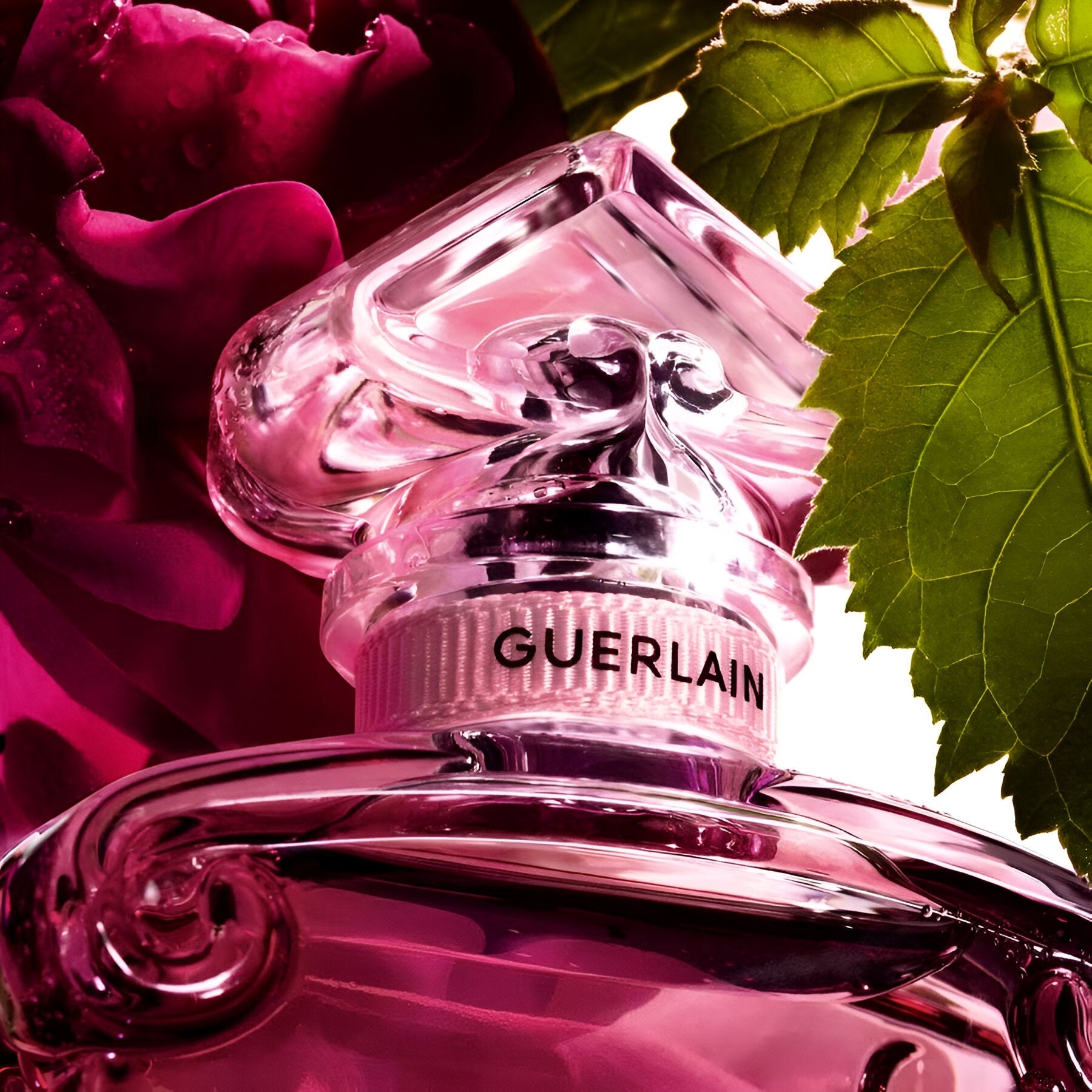 Shop Guerlain La Petite Robe Noire EDP