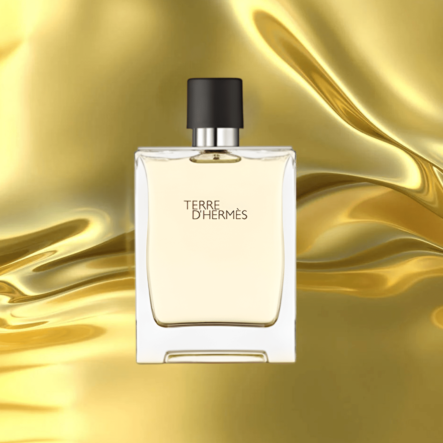 Hermes Terre D'Hermes EDT | My Perfume Shop