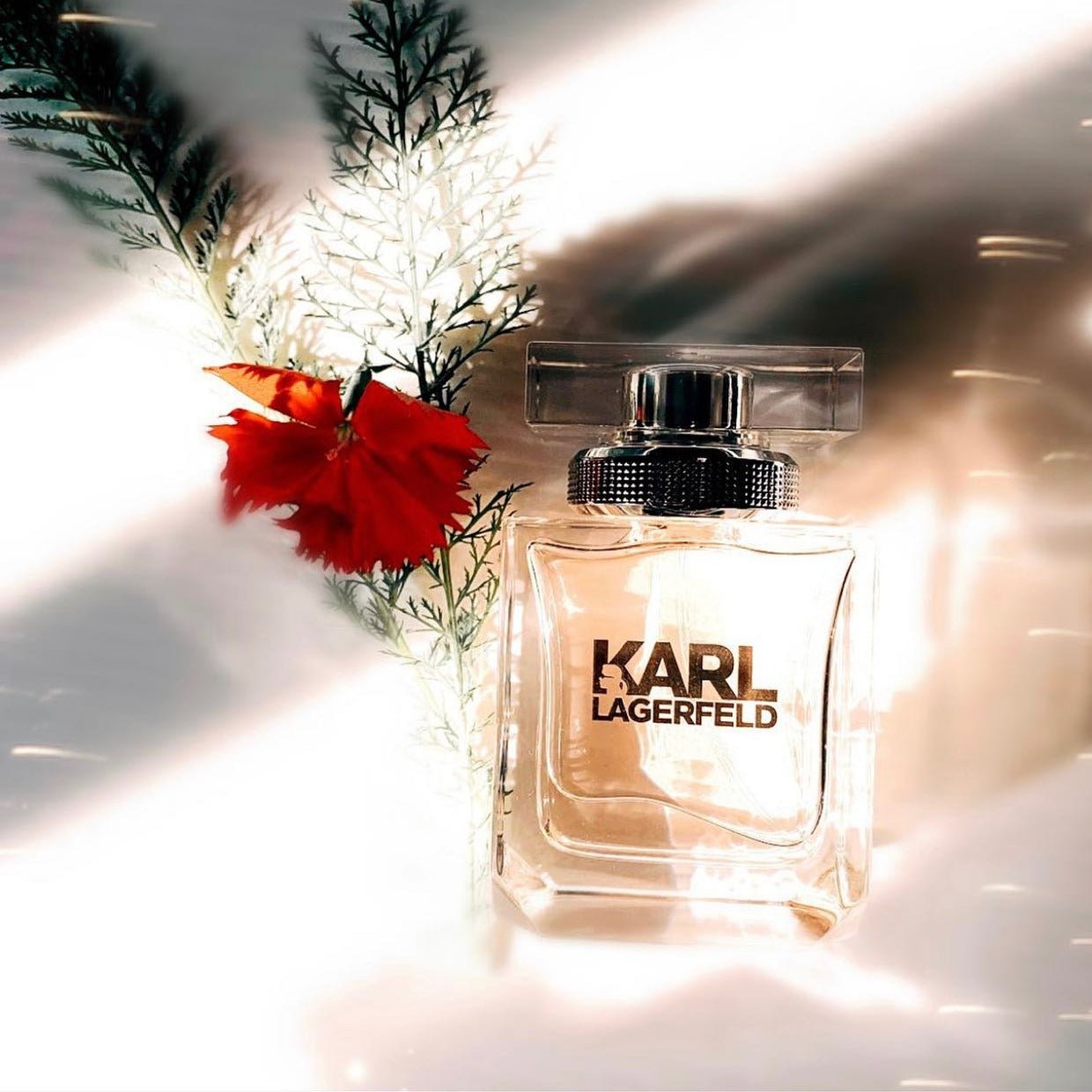 Shop Karl Lagerfeld For Her EDP