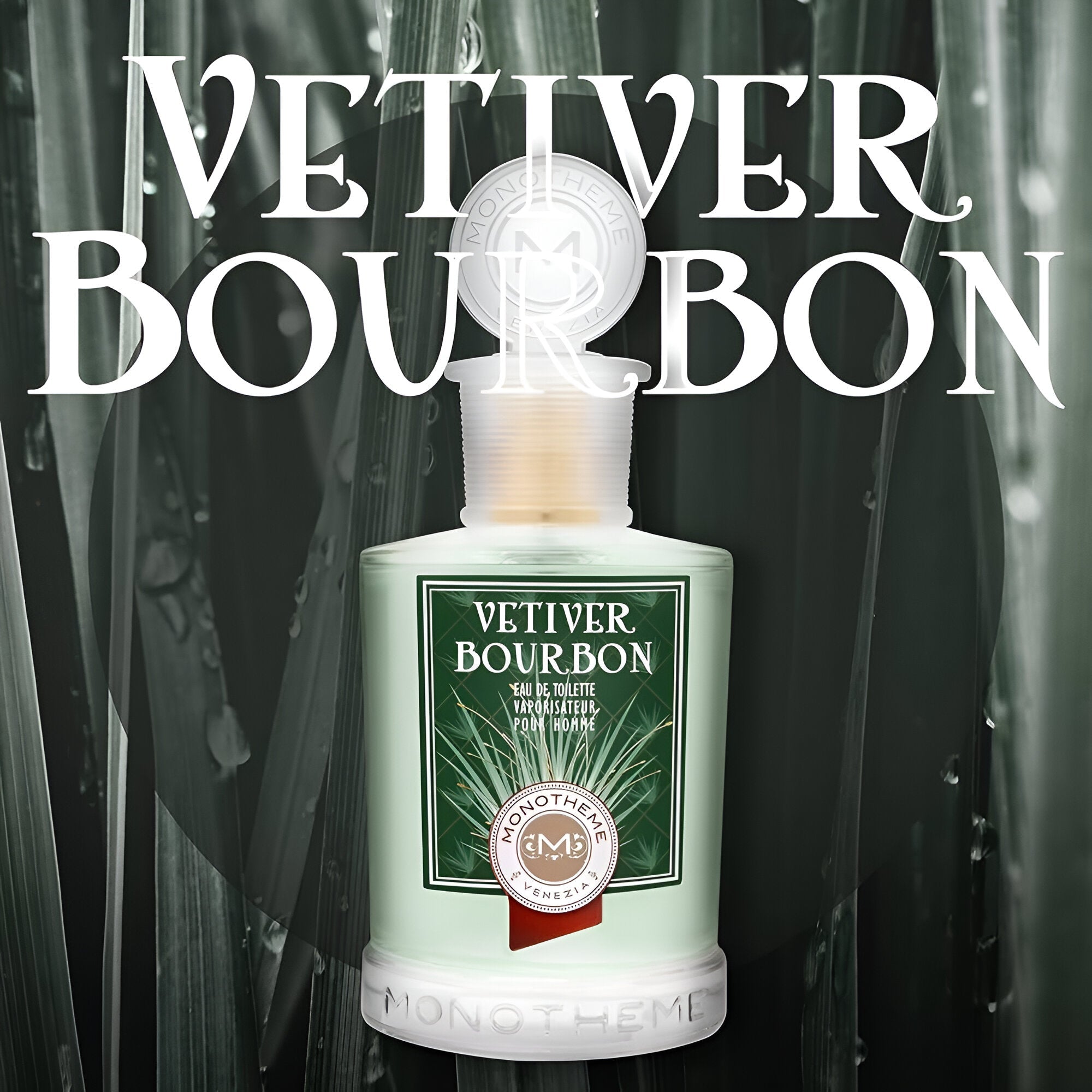 Monotheme Venezia Vetiver Bourbon EDT | My Perfume Shop