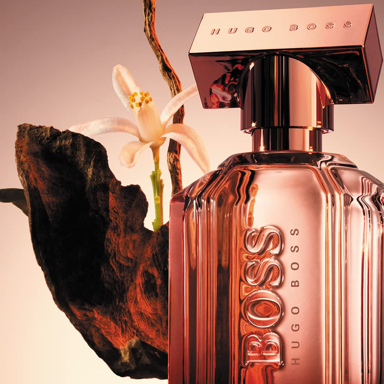 Hugo boss fashion basenotes