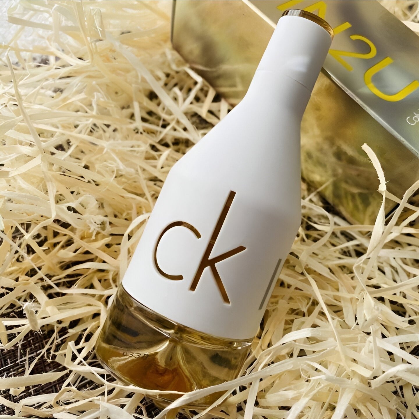 Shop Calvin Klein Ck In2U EDT