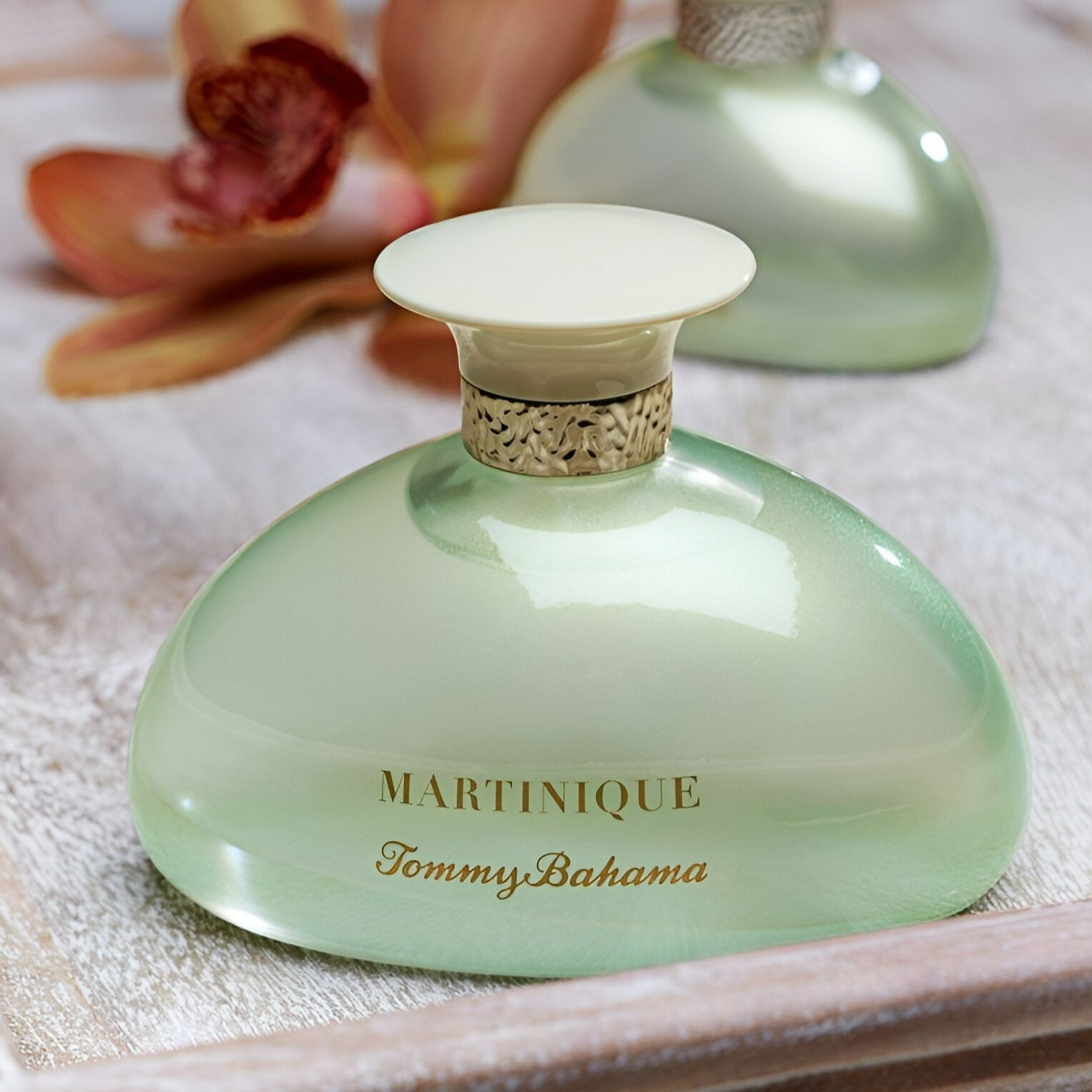 Martinique tommy bahama perfume online