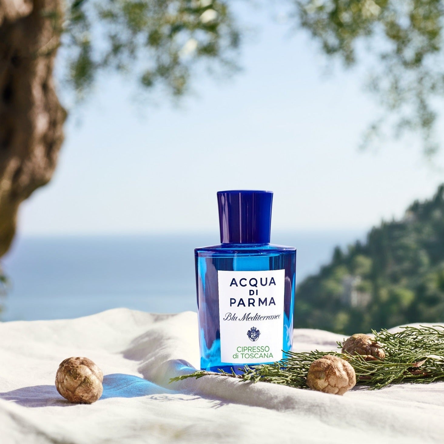 Acqua Di Parma Blu Mediterraneo Cipresso Di Toscana EDT | My Perfume Shop