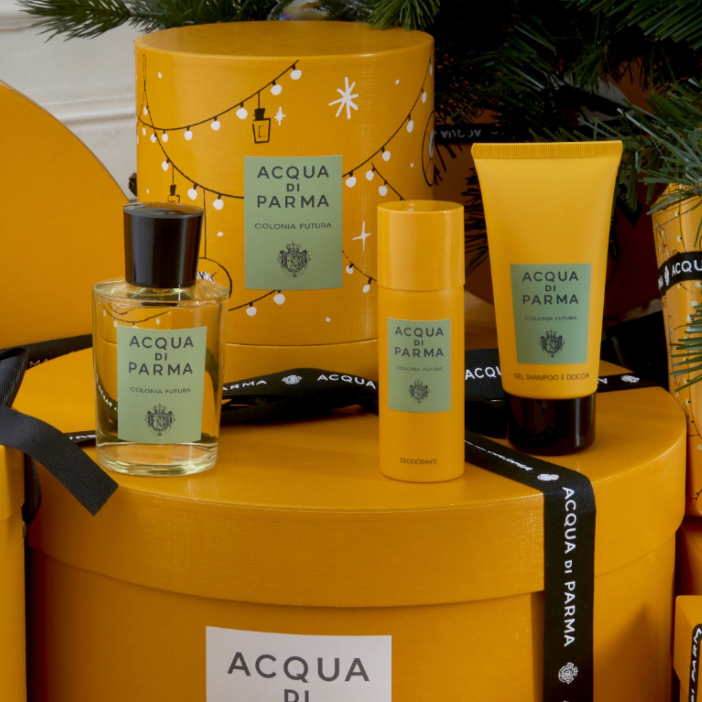 Acqua Di Parma Colonia Futura Deodorant Spray | My Perfume Shop