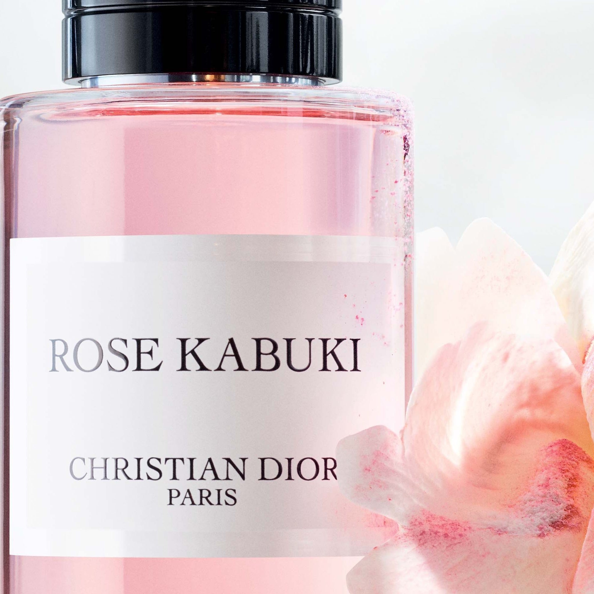 Christian Dior Rose Kabuki EDP | My Perfume Shop