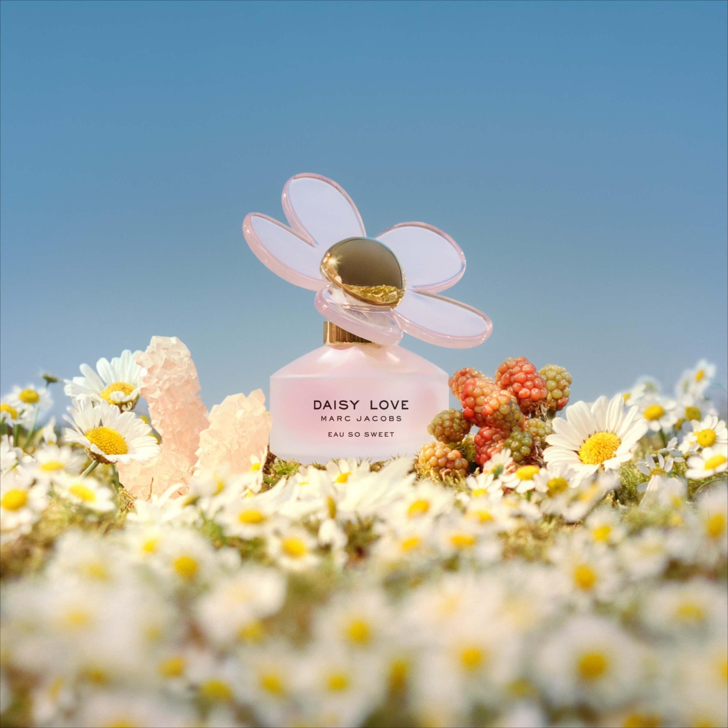 Marc Jacobs Daisy Love Eau So Sweet EDT | My Perfume Shop