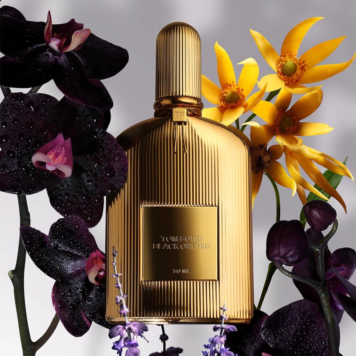 TOM FORD Black Orchid Parfum | My Perfume Shop