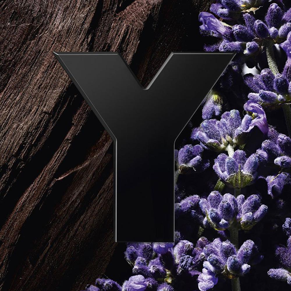 Yves Saint Laurent Y Le Parfum | My Perfume Shop